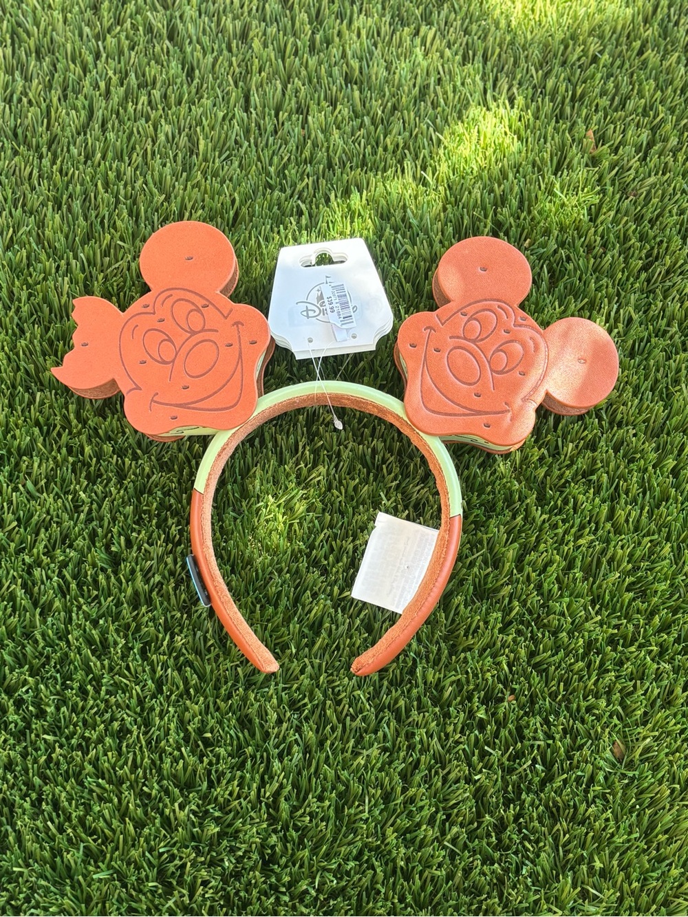 Mickey Mouse Mint and Chip Ice Cream Sandwich Ears.